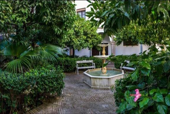 Apartamento En Un Dormitorio En Plaza Alfaro Sevilla Exterior foto